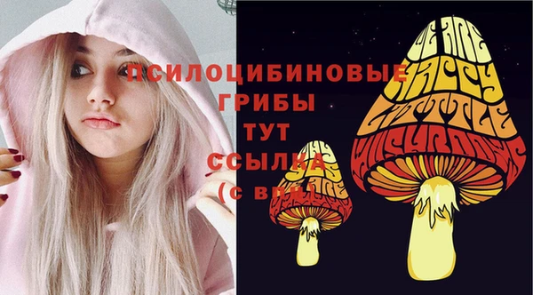 ПСИЛОЦИБИНОВЫЕ ГРИБЫ Покачи