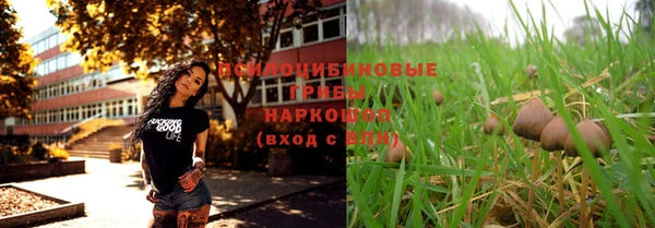 ПСИЛОЦИБИНОВЫЕ ГРИБЫ Покачи